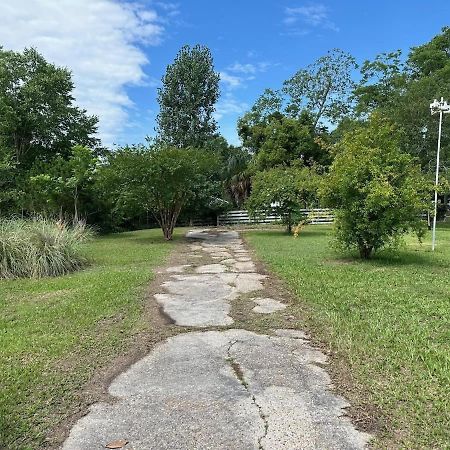 Bare Feet Bungalow -Close To Beach & Dog Friendly Gulfport Luaran gambar